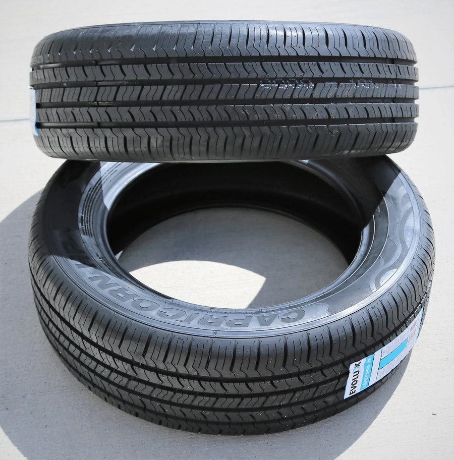 215/65/R17 Passenger All Season Tire 99 H Evoluxx Capricorn HP (Set of 2)