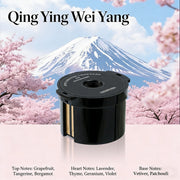 Rechargeable Smart Car Aroma Diffuser