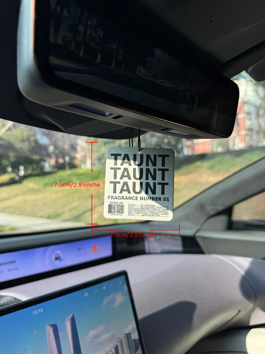 Mocking Car Ornament