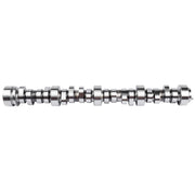 Stage 3 Camshaft for Chevrolet LS/LS1, .595-Inch Lift, 296° Duration