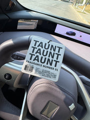 Mocking Car Ornament