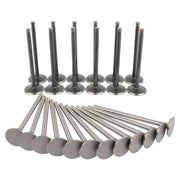 Intake & Exhaust Valve Set for Chrysler 300/Dodge Charger 3.5L 1998-2011