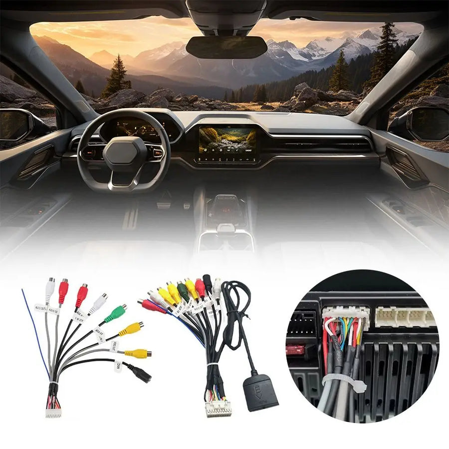 20-Pin Car Stereo RCA Input and Output Wiring Harness
