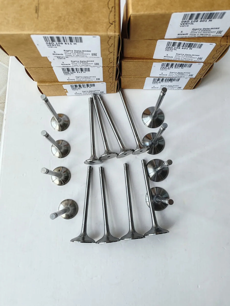 Intake & Exhaust Valve Set for Volkswagen/Audi 1.8L/2.0L TFSI