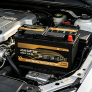H8 Group 49 12V 95Ah AGM Automotive Battery - 900 CCA