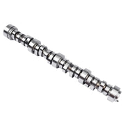 Stage 3 Camshaft for Chevrolet LS/LS1, .595-Inch Lift, 296° Duration