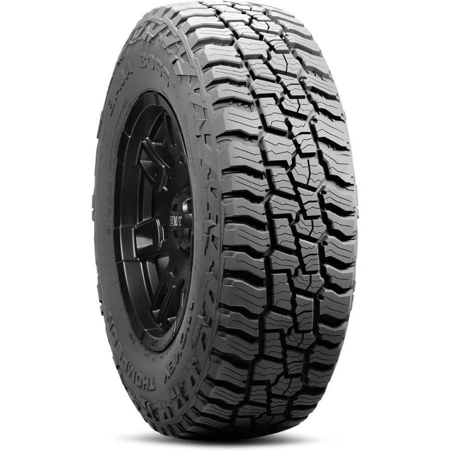 265/70/R17 Passenger All Season Tire 116 T