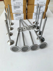 Intake & Exhaust Valve Set for Volkswagen/Audi 1.8L/2.0L TFSI