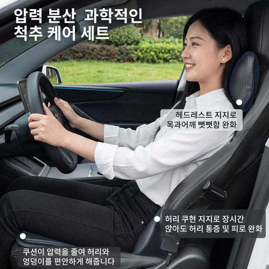 Neck Pillow and Lumbar Support for Tesla Model 3/Y