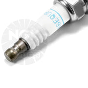 Ngk Platinum Spark Plug for BMW & Mini & Porsche