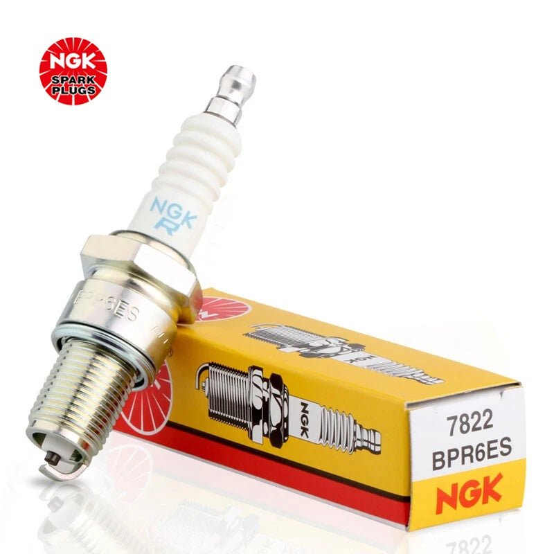 Ngk Spark Plug for BMW & Volkswagen & Nissan