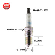 Ngk Spark Plug for Ford & Jaguar & Volvo