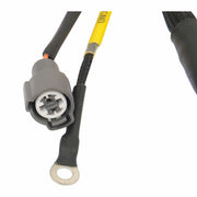 OBD1 Budget Tucked Engine Harness D&B Series for Honda Civic Integra B16 B18 D16 92-95