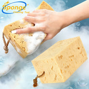 Honeycomb Car Wash Sponges – 1 or 2 Pack