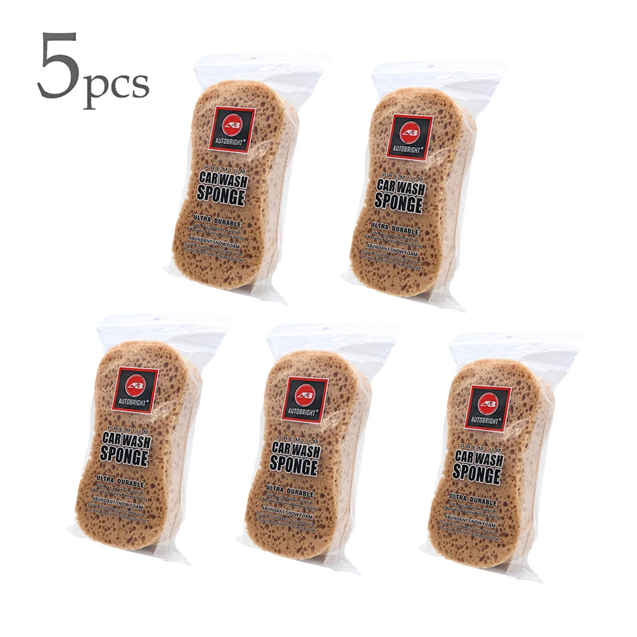 Large Porous Car Wash Sponges, 2-, 5- & 10-Piece Options