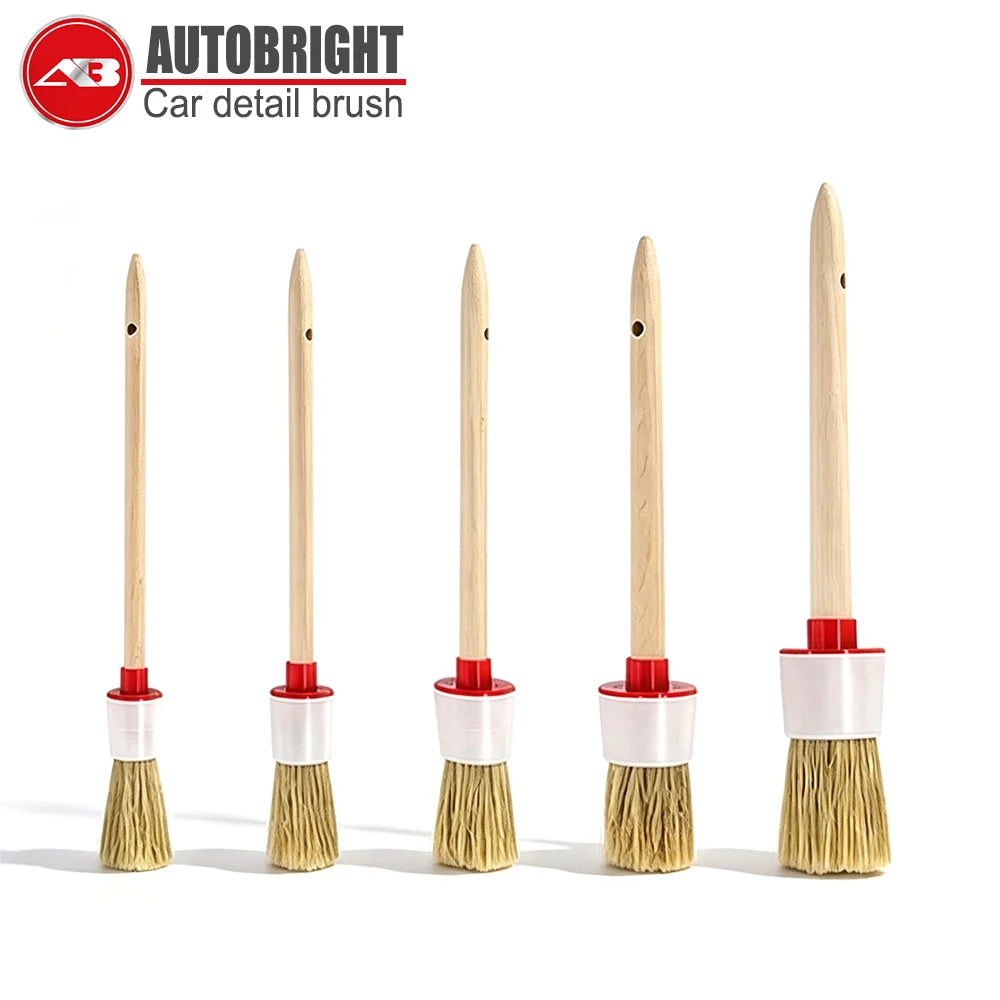 5-Piece Wooden Handle Boar Bristle Detailing Brush Set