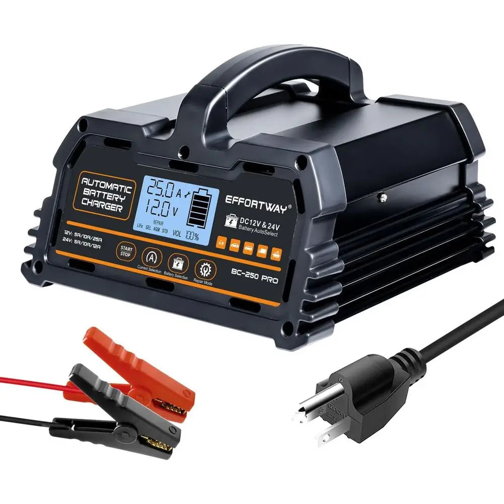 25A Smart Battery Charger for 12V/24V Lead-Acid and 12V LiFePO4 Batteries