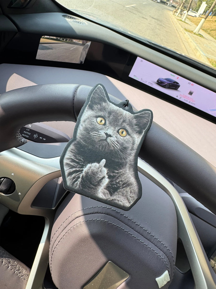 Funny Cat Car Ornament
