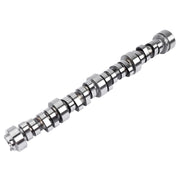 Stage 3 Camshaft for Chevrolet LS/LS1, .595-Inch Lift, 296° Duration