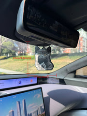 Funny Cat Car Ornament