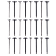 Intake & Exhaust Valve Kit for Chrysler/Dodge 3.2L/3.5L/4.0L