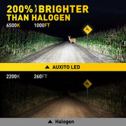 2-Piece H1 LED Headlight Bulb – 6500K, CANBUS, Fanless