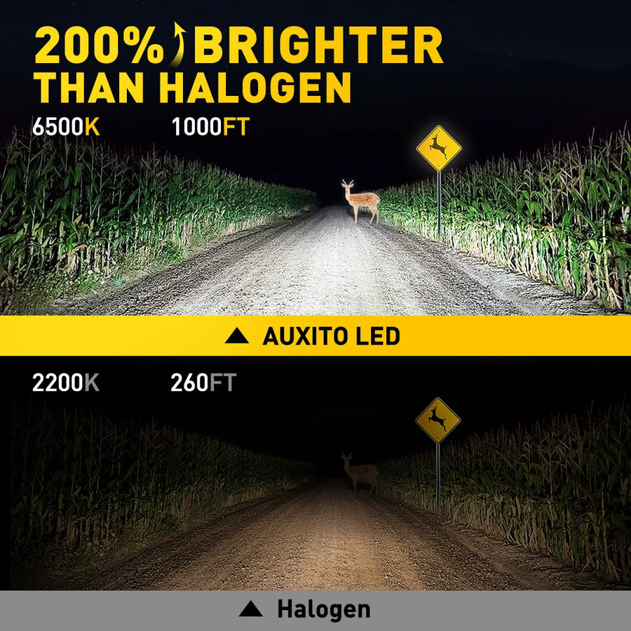 H1 LED Headlight Bulb – 6500K, CANBUS, Fanless