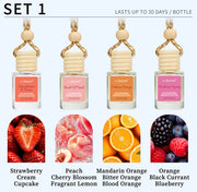 4-Pack Hanging Car Air Freshener Diffuser