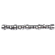 Stage 3 Camshaft for Chevrolet LS/LS1, .595-Inch Lift, 296° Duration