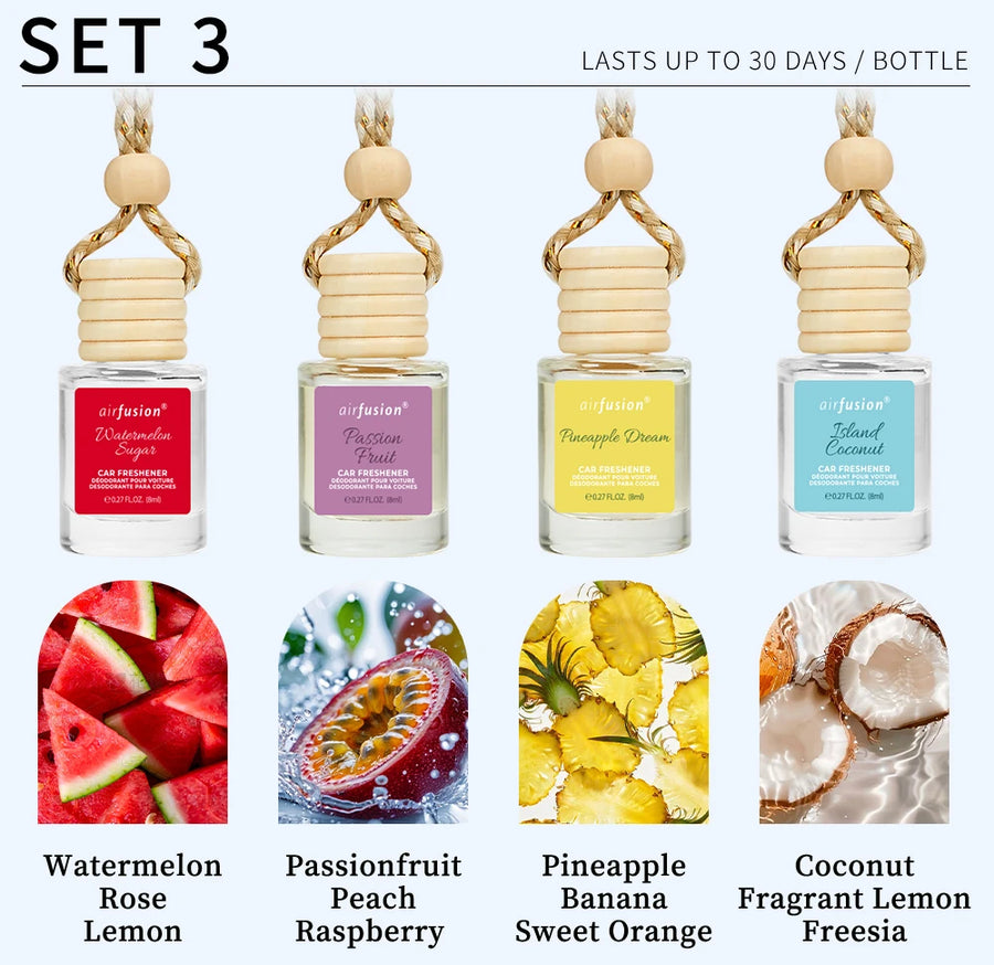 4-Pack Hanging Car Air Freshener Diffuser