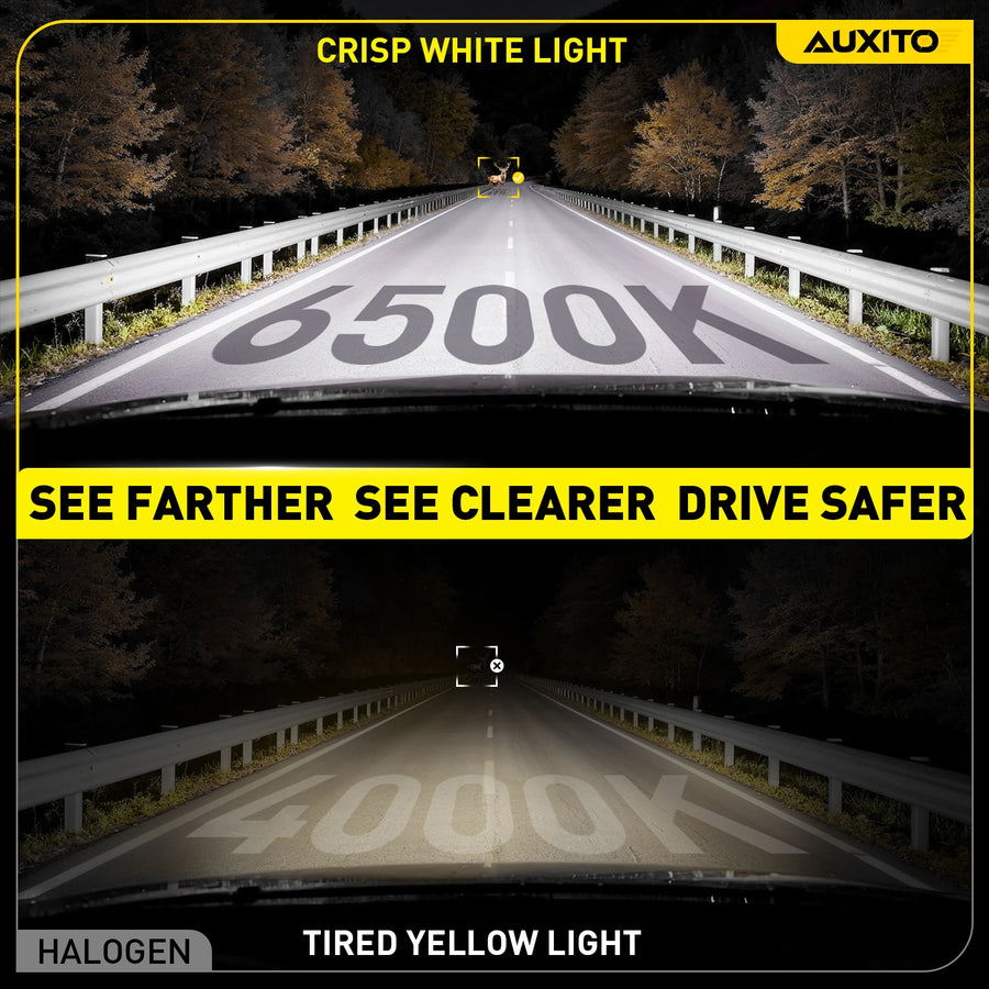 H11 LED Headlight Bulb – 6500K, Compact