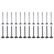Intake & Exhaust Valve Kit for Chrysler/Dodge 3.2L/3.5L/4.0L